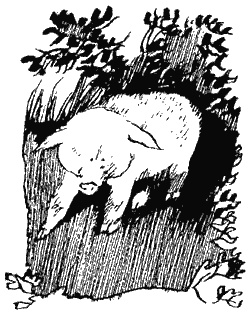 Иллюстрация к книге — Книга трех [i_07.jpg]