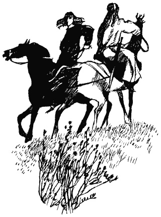 Иллюстрация к книге — Книга трех [i_33.jpg]