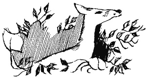 Иллюстрация к книге — Книга трех [i_37.jpg]