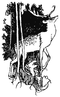 Иллюстрация к книге — Книга трех [i_40.jpg]