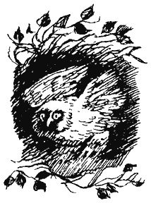 Иллюстрация к книге — Книга трех [i_43.jpg]