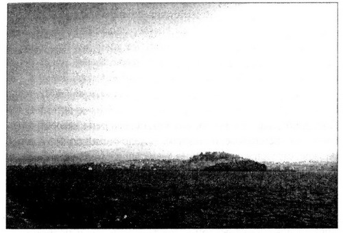 Иллюстрация к книге — Дневники голодной акулы [i_015.jpg]