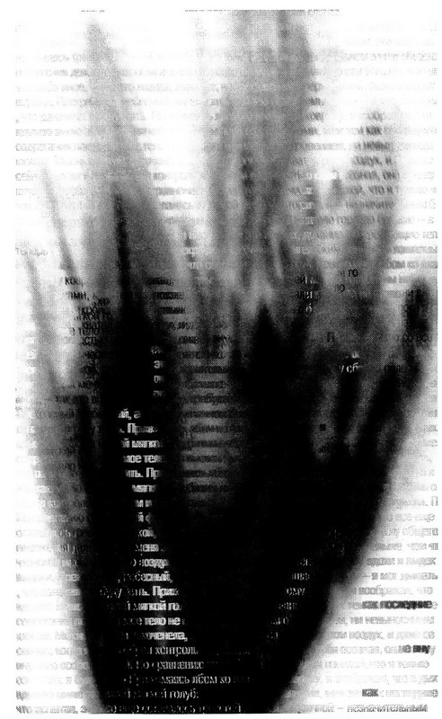 Иллюстрация к книге — Дневники голодной акулы [i_059.jpg]