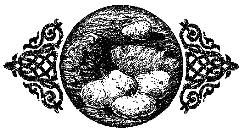 Иллюстрация к книге — Время нарушать запреты [id59726_i_006.jpg]