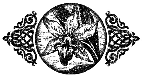 Иллюстрация к книге — Время нарушать запреты [id59726_i_031.jpg]