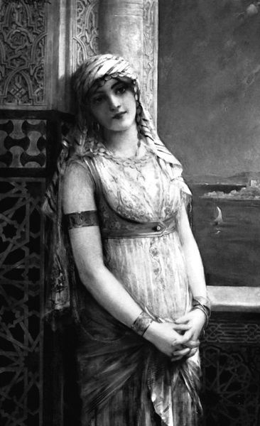 Иллюстрация к книге — Невольница гарема [i_004.jpg]