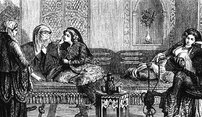 Иллюстрация к книге — Невольница гарема [i_012.jpg]