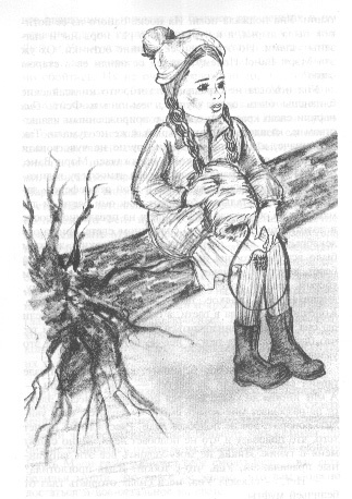 Иллюстрация к книге — Аня и Долина Радуг [i_012.jpg]