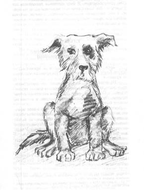 Иллюстрация к книге — Рилла из Инглсайда [i_004.jpg]