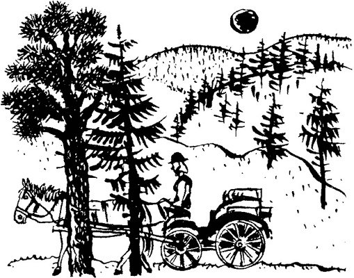 Иллюстрация к книге — История Энн Ширли. Книга первая [i_006.jpg]