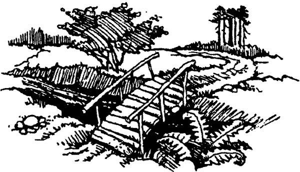 Иллюстрация к книге — История Энн Ширли. Книга вторая [i_016.jpg]