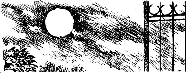 Иллюстрация к книге — История Энн Ширли. Книга третья [i_012.jpg]