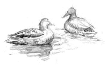 Иллюстрация к книге — Детям [_32.jpg]