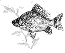 Иллюстрация к книге — Детям [_35.jpg]