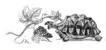 Иллюстрация к книге — Детям [_47.jpg]