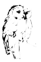 Иллюстрация к книге — Мэбэт [i_023.jpg]