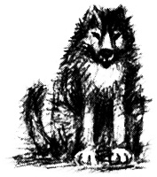 Иллюстрация к книге — Мэбэт [i_024.jpg]