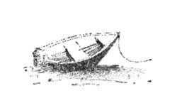 Иллюстрация к книге — Мария в поисках кита [i_001.jpg]