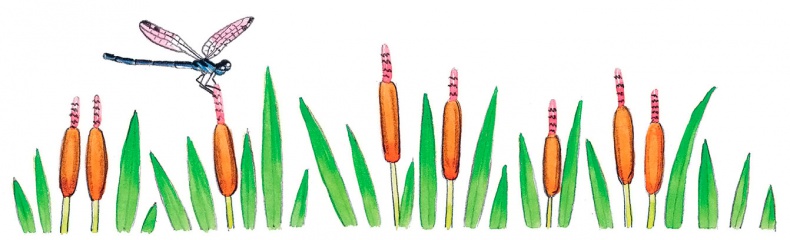 Иллюстрация к книге — Дети с Горластой улицы [i_015.jpg]