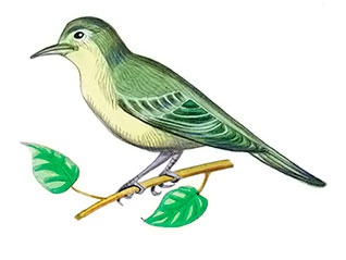 Иллюстрация к книге — Дети с Горластой улицы [i_016.jpg]