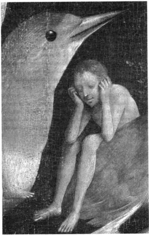 Иллюстрация к книге — Женщина-птица [i_003.jpg]