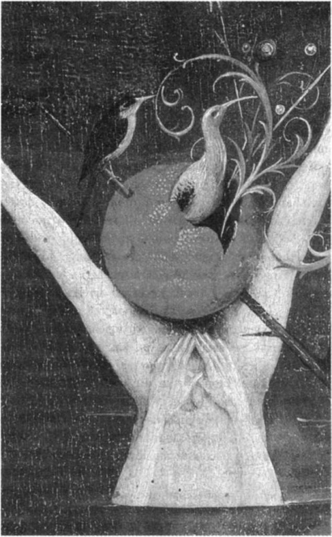 Иллюстрация к книге — Женщина-птица [i_005.jpg]