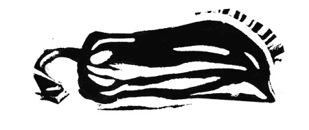 Иллюстрация к книге — Апокалипсис Антона Перчика [i_008.jpg]