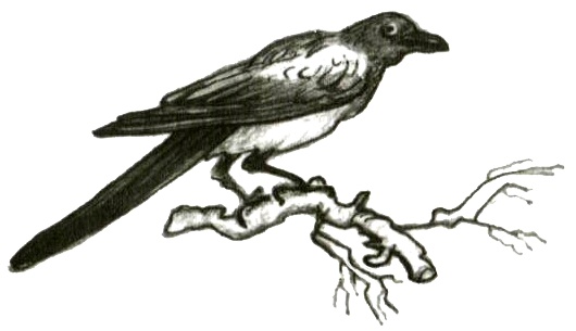 Иллюстрация к книге — Кадын - Владычица гор [i_002.jpg]