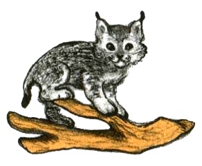 Иллюстрация к книге — Кадын - Владычица гор [i_006.jpg]