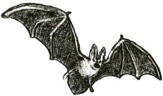 Иллюстрация к книге — Кадын - Владычица гор [i_014.jpg]