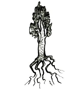 Иллюстрация к книге — Кадын - Владычица гор [i_041.jpg]