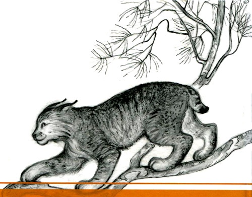 Иллюстрация к книге — Кадын - Владычица гор [i_049.jpg]