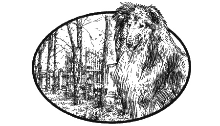 Иллюстрация к книге — Приключения черной таксы [img05.jpg]