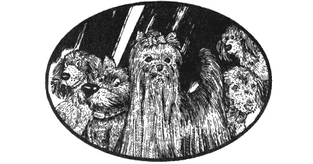 Иллюстрация к книге — Приключения черной таксы [img09.jpg]