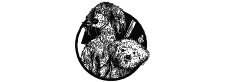 Иллюстрация к книге — Приключения черной таксы [img16.jpg]