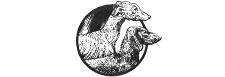 Иллюстрация к книге — Приключения черной таксы [img20.jpg]