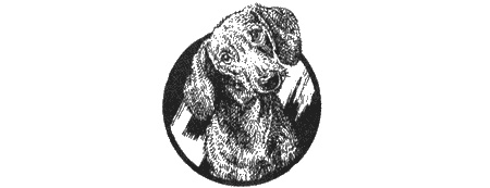 Иллюстрация к книге — Приключения черной таксы [img22.jpg]