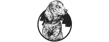 Иллюстрация к книге — Приключения черной таксы [img29.jpg]