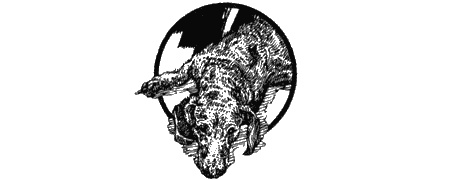 Иллюстрация к книге — Приключения черной таксы [img33.jpg]