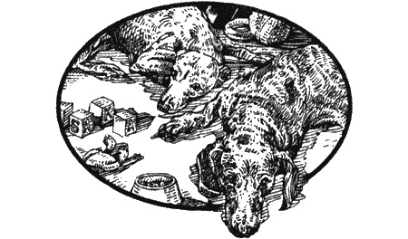 Иллюстрация к книге — Приключения черной таксы [img49.jpg]