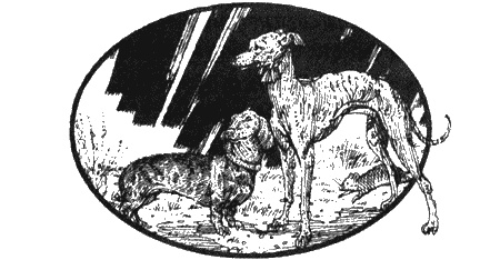 Иллюстрация к книге — Приключения черной таксы [img62.jpg]