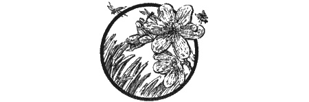 Иллюстрация к книге — Приключения черной таксы [img65.jpg]