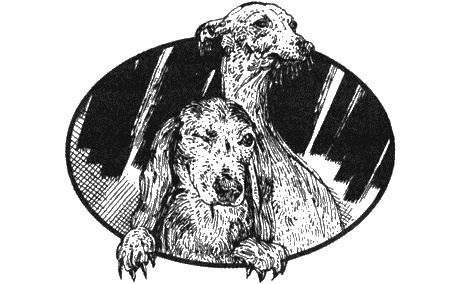 Иллюстрация к книге — Приключения черной таксы [img72.jpg]