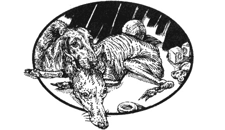 Иллюстрация к книге — Приключения черной таксы [img74.jpg]