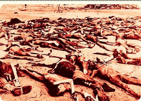 Иллюстрация к книге — Могила для 500000 солдат [i_007.jpg]