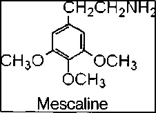 Иллюстрация к книге — Штурмуя небеса. ЛСД и американская мечта [any2fbimgloader22.jpg]