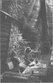 Иллюстрация к книге — Штурмуя небеса. ЛСД и американская мечта [any2fbimgloader68.jpg]