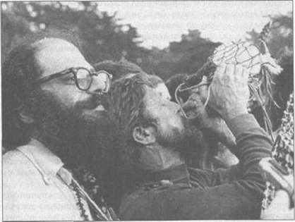 Иллюстрация к книге — Штурмуя небеса. ЛСД и американская мечта [any2fbimgloader90.jpg]