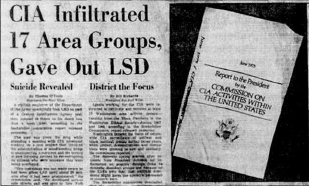 Иллюстрация к книге — Штурмуя небеса. ЛСД и американская мечта [p5.jpg]