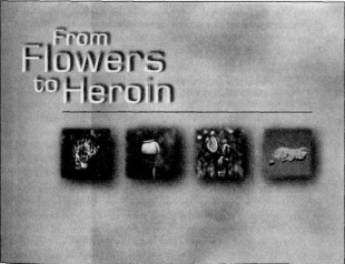 Иллюстрация к книге — Штурмуя небеса. ЛСД и американская мечта [p6.jpg]